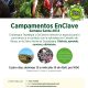 Campamento de Educación Ambiental en Semana Santa con EnClave