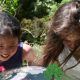 Campamento de verano para niños en el Real Jardín Botánico y Museo Nacional de Antropología 2012