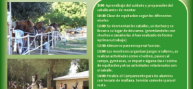 Campamento hípico de verano en Madrid en Venta la Rubia