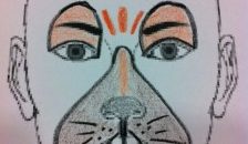 Cara pintada de ratón para carnaval