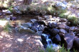 Una excursión por “LA BARRANCA” en Navacerrada