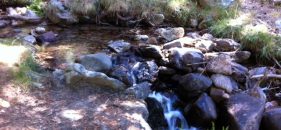 Una excursión por “LA BARRANCA” en Navacerrada