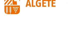 Navidades con niños en Algete 2011-2012