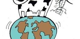 12 consejos cuando pierdes a un niño de viaje