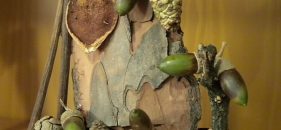 Adornos con hojas y frutos de Otoño con niños (II)