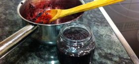 Mermelada casera de mora silvestre
