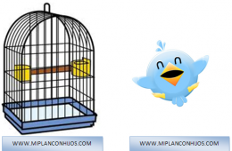 El juego del pájaro en la jaula, truco visual