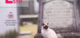 Paseos guiados por el Cementerio de San Isidro.