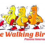 Paseos interactivos para niños en Madrid, Segovia y Toledo