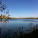 Senda por la laguna de «El Campillo»