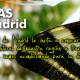 Web con rutas y sendas por Madrid
