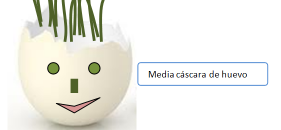 Simpáticas macetas de cáscara de huevo